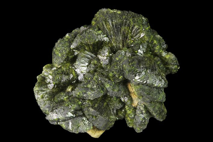 Lustrous Epidote Crystal Cluster - Morocco #142704